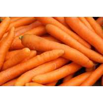 zanahorias sahara 1kg
